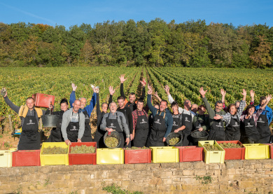 Our wine sites in Burgundy and Beaujolais